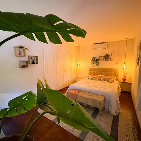 Canuta Baja Ferienhaus *
