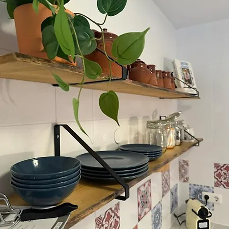 Canuta Baja * קלפה